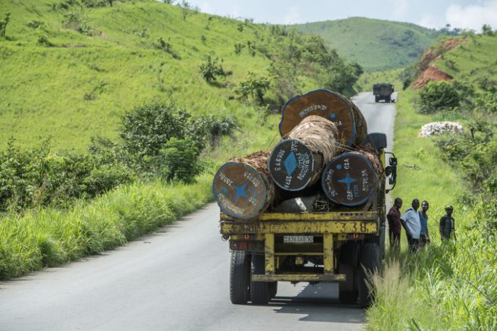 Transport Of Huge Tropical Timber Logs, Congo