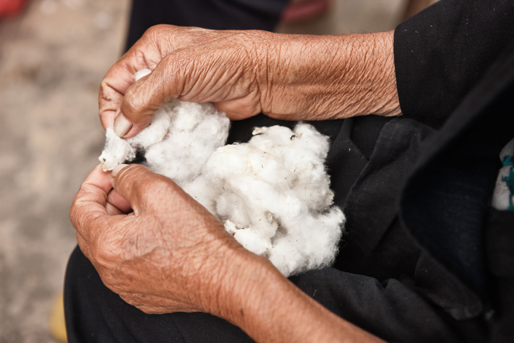 Cottonwool Harvest
