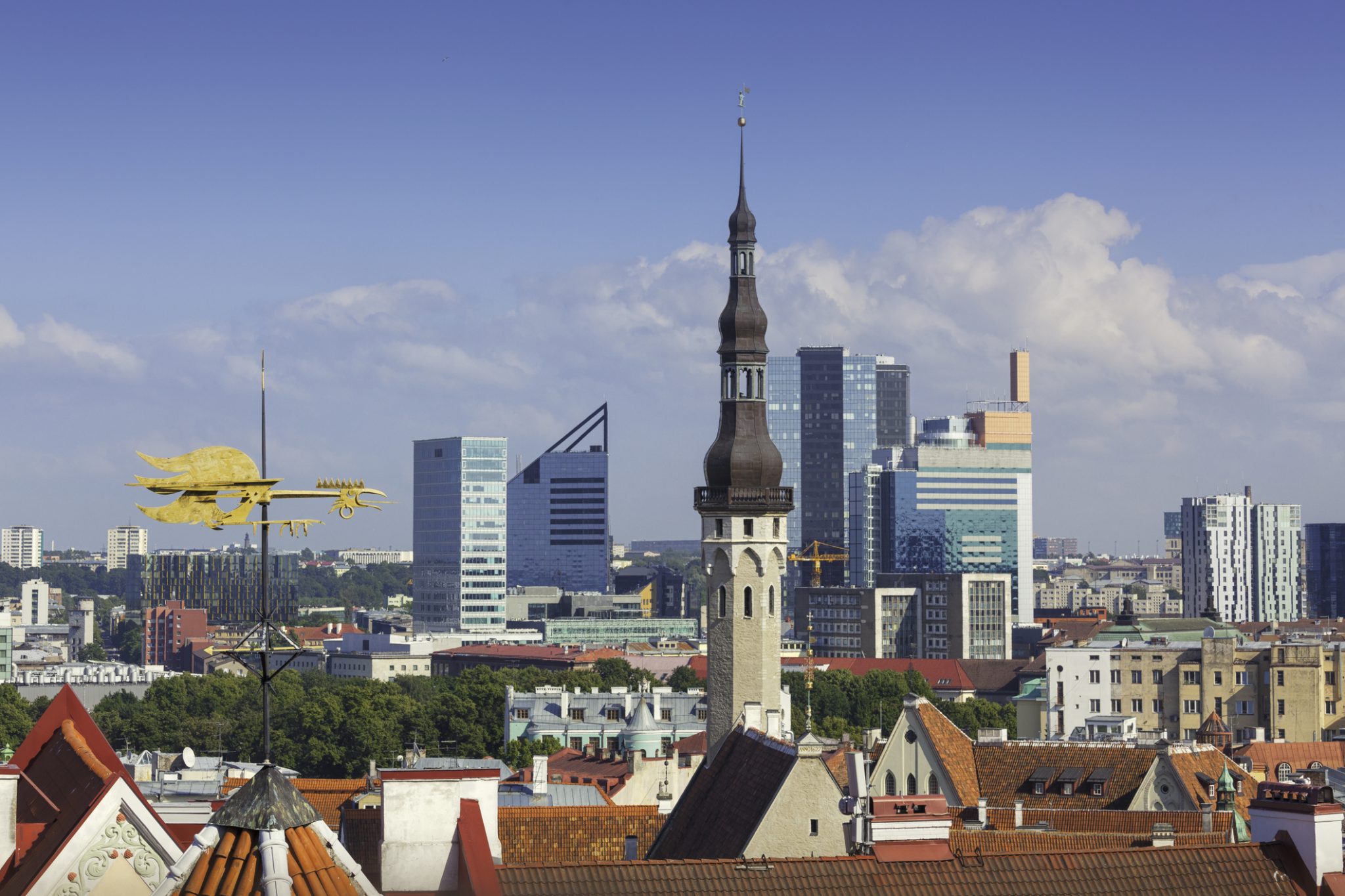 Skyline Of Tallinn, Estonia