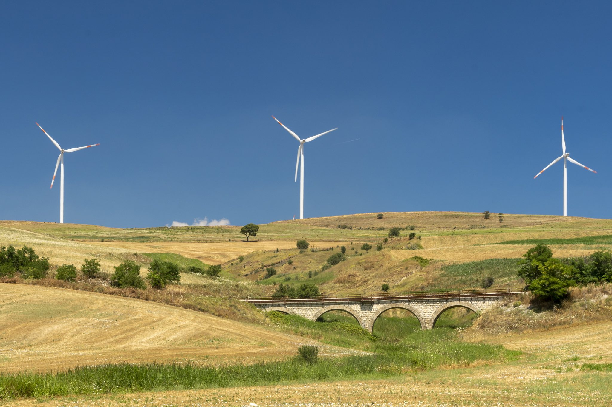 Rural Landscape In Apulia At Summer